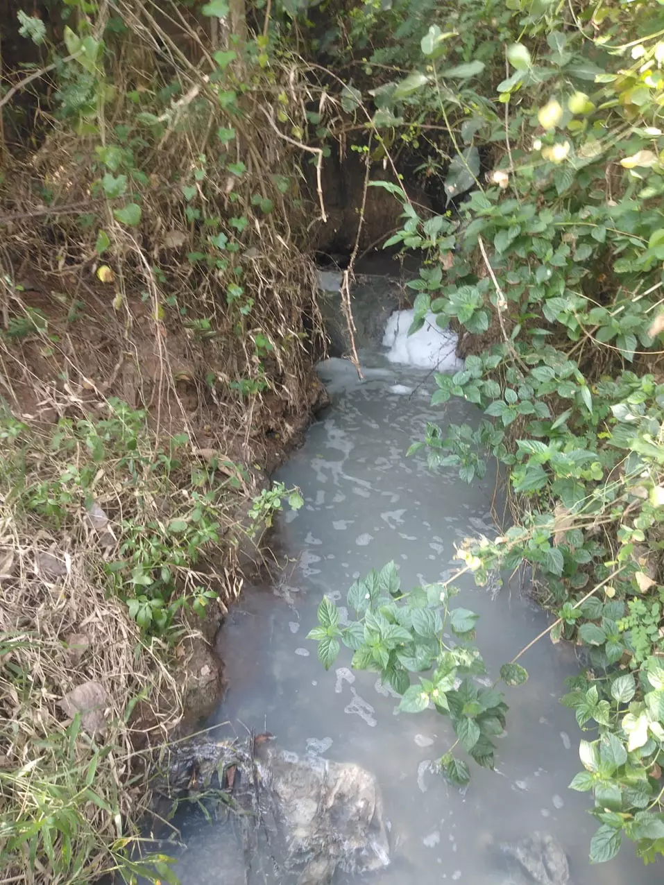 ஆற்றில் கலக்கும் சாயக்கழிவுநீர்