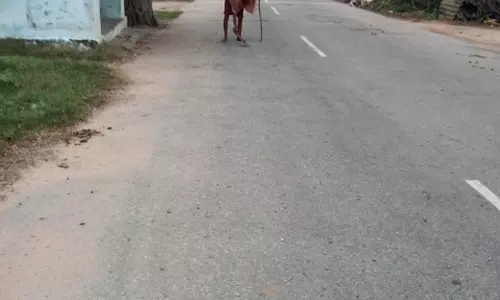 ரோட்டில் சிதறி கிடக்கும் ஜல்லிக்கற்களால் அவதி