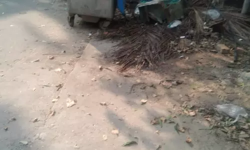 குப்பைகள் அகற்றப்படுமா ?