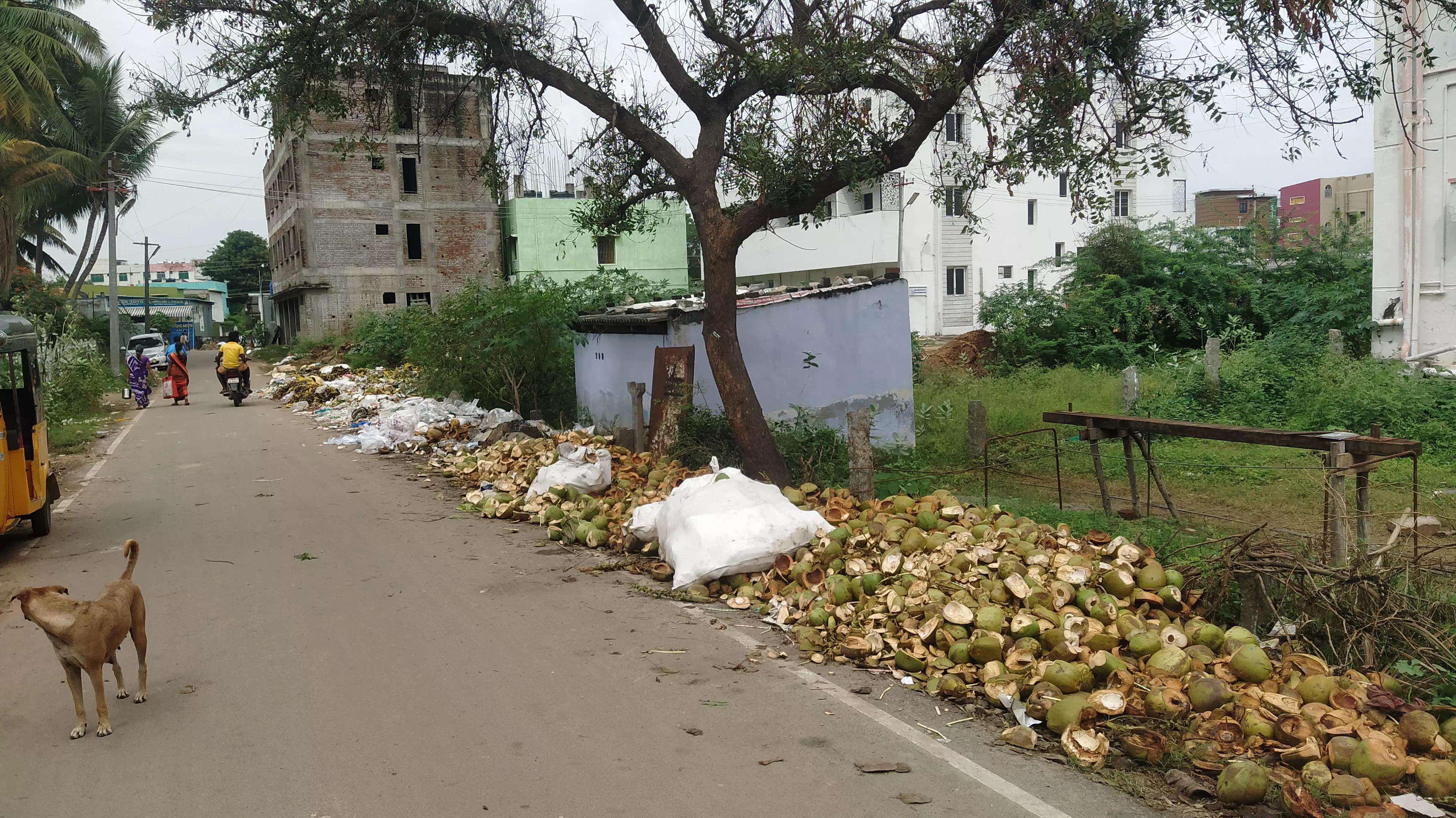 தேங்கி கிடக்கும் குப்பைகள் தேங்கி கிடக்கும் குப்பைகள்