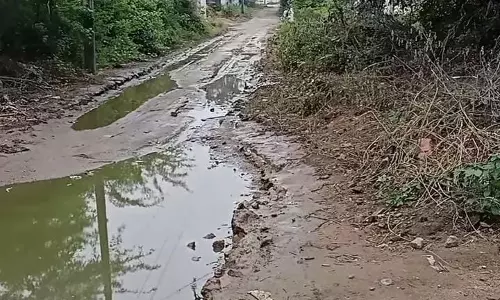 சாலை அமைக்க வேண்டும்