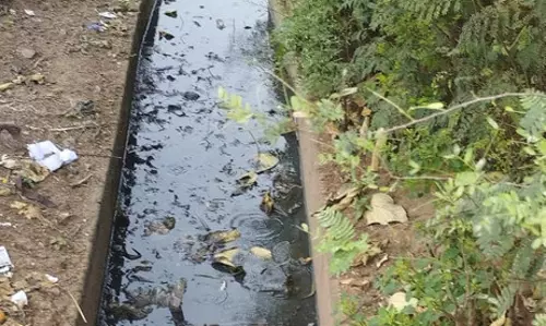 சாக்கடை தூர்வாரப்படுமா?