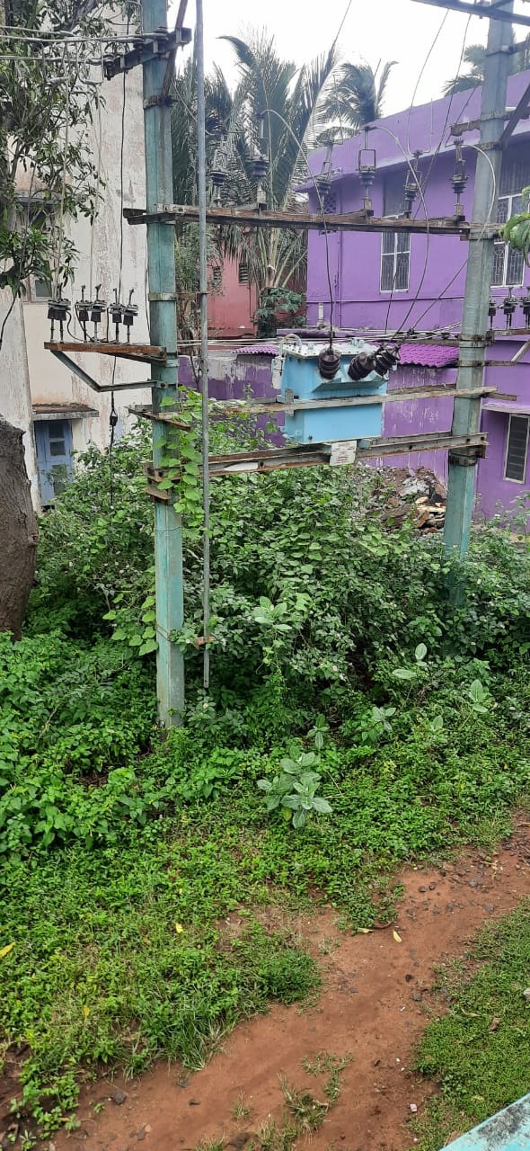 புதரை அகற்ற வேண்டும்