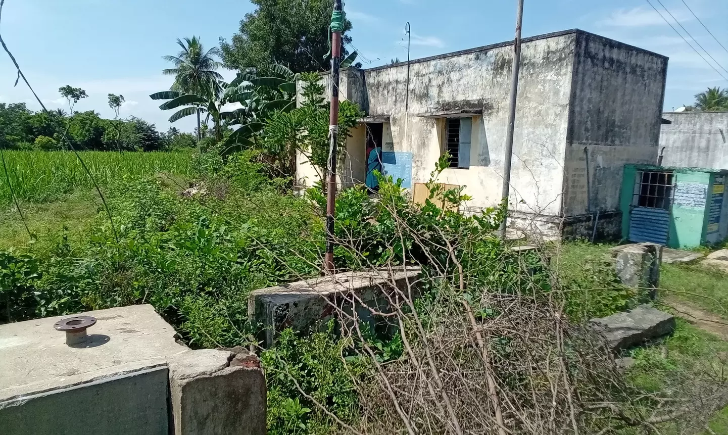 செடி, கொடிகள், புதர்களை அகற்றுவார்களா? செடி, கொடிகள், புதர்களை அகற்றுவார்களா?