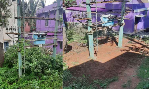 புதர்கள் அகற்றப்பட்டது