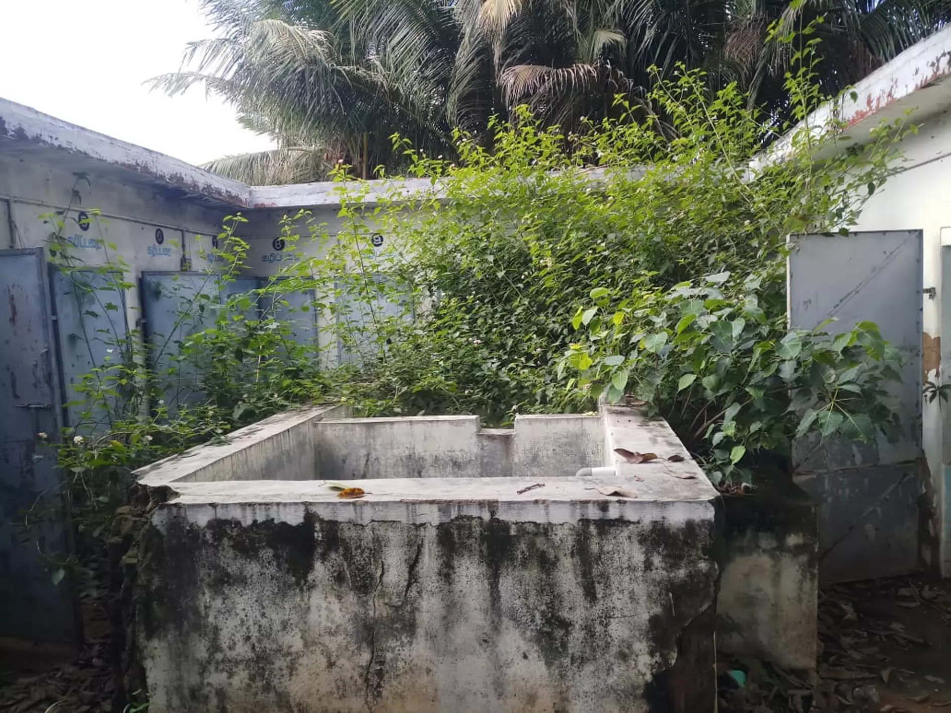 புதர் மண்டி கிடக்கும் சுகாதார வளாகம்