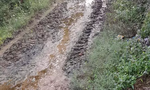 சேறும், சகதியுமான சாலை