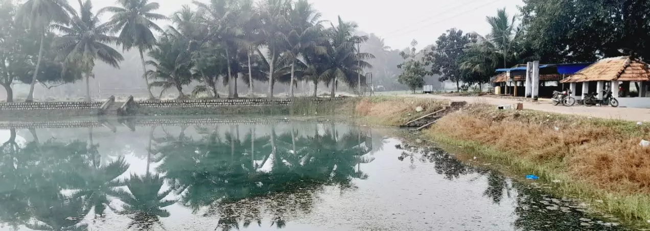 மாசடைந்த குளத்து நீர்