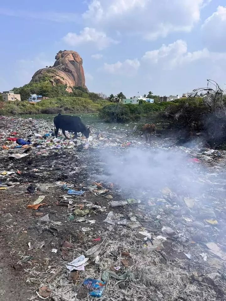 சுகாதார சீர்கேடு