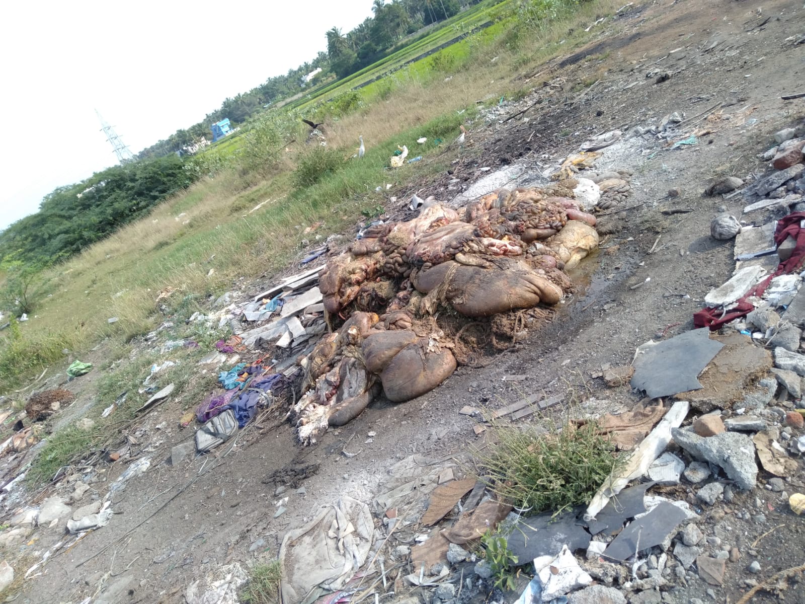 சுகாதார சீர்கேடு