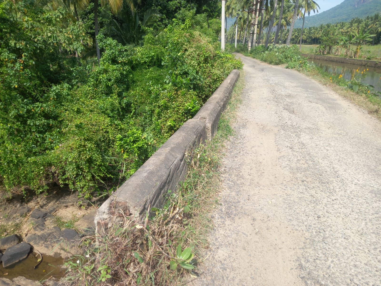 நடவடிக்கை எடுக்கப்படுமா?