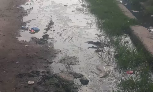 கால்வாயை தூர்வாரப்படுமா? கால்வாயை தூர்வாரப்படுமா?