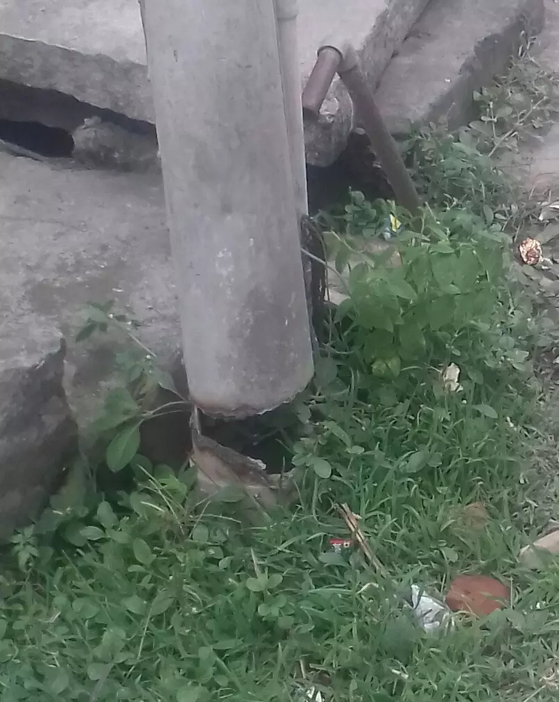 சேதமடைந்த மின் கம்பம்