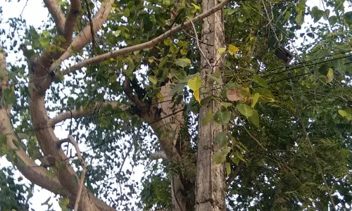 ஆபத்தான மின்கம்பம்