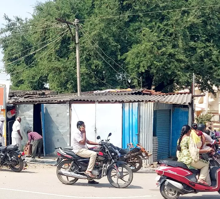 ஆக்கிரமிக்கப்பட்ட மின்கம்பம்