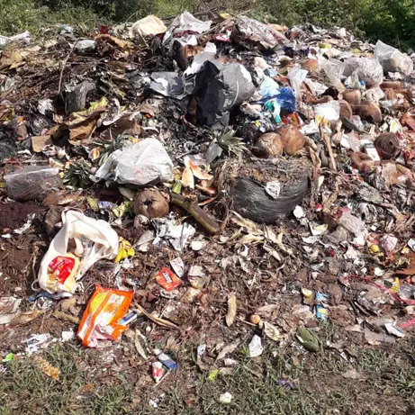 குவிந்து கிடக்கும் குப்பைகள் குவிந்து கிடக்கும் குப்பைகள்