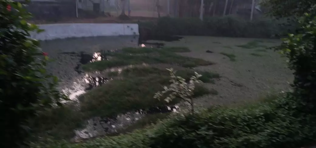 தூர்வாரப்படுமா?