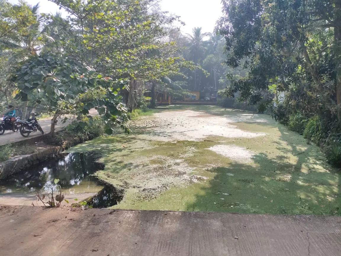 சேதமடைந்த படித்துறை