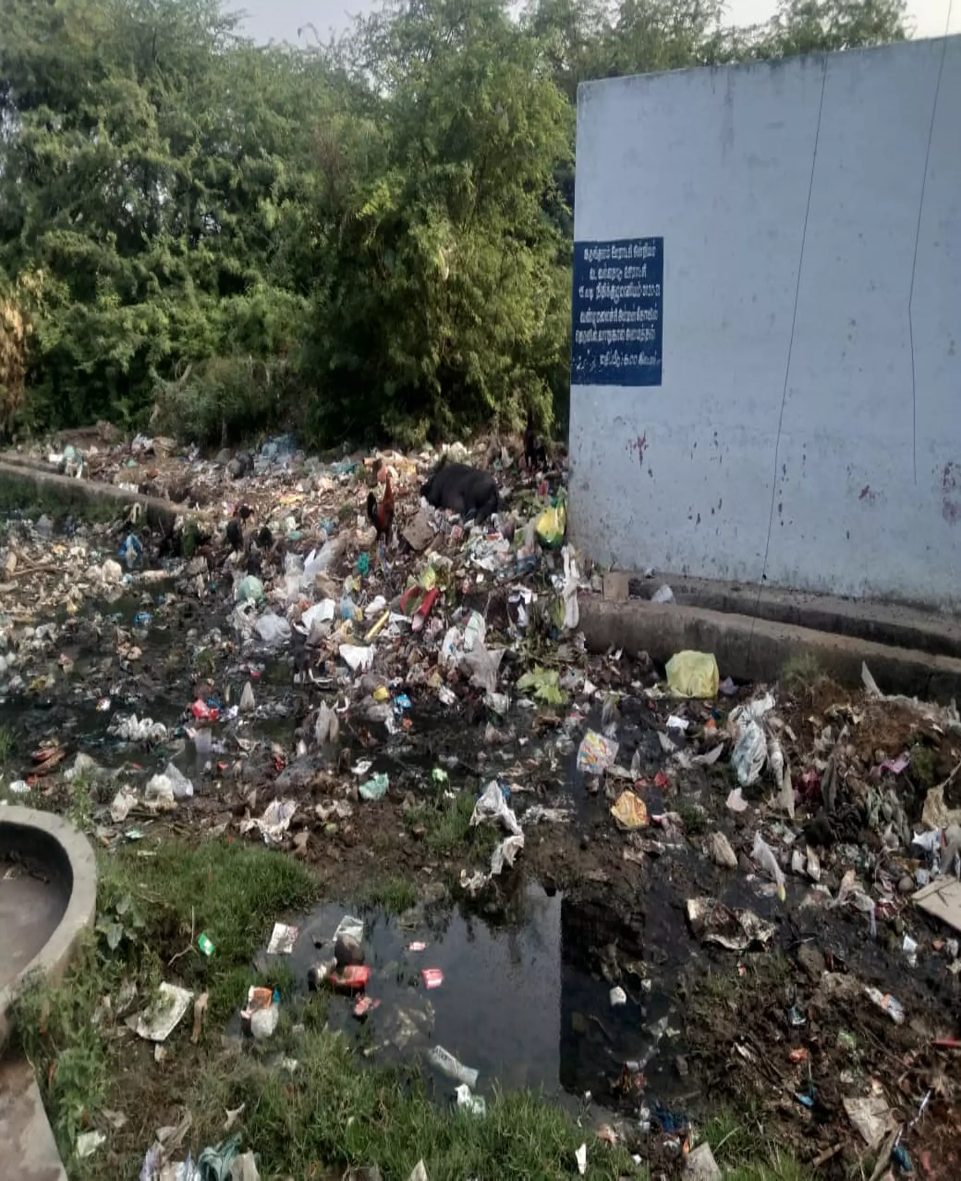 குப்பைகளால் வாறுகாலில் அடைப்பு