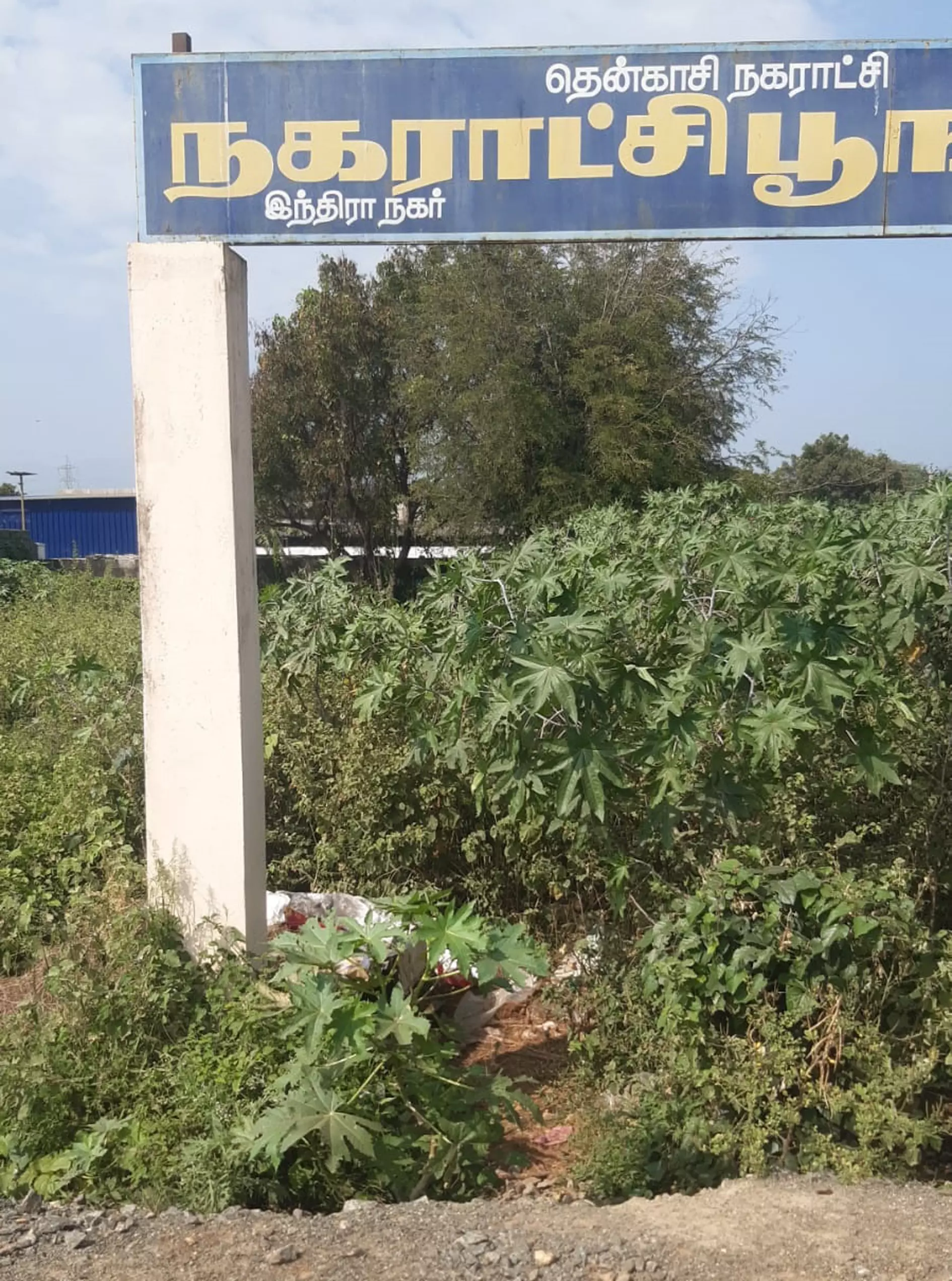 பூங்கா பராமரிக்கப்படுமா?