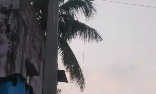 புதிய மின்கம்பங்கள் பொருத்தப்பட்டது புதிய மின்கம்பங்கள் பொருத்தப்பட்டது