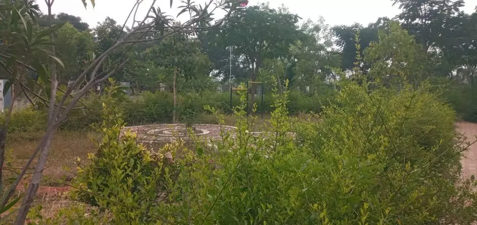 புதர்மண்டி கிடக்கும் விளையாட்டு மைதானம்