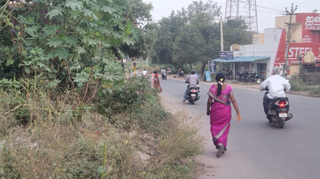 முட்புதர்களை அகற்றுவார்களா? முட்புதர்களை அகற்றுவார்களா?