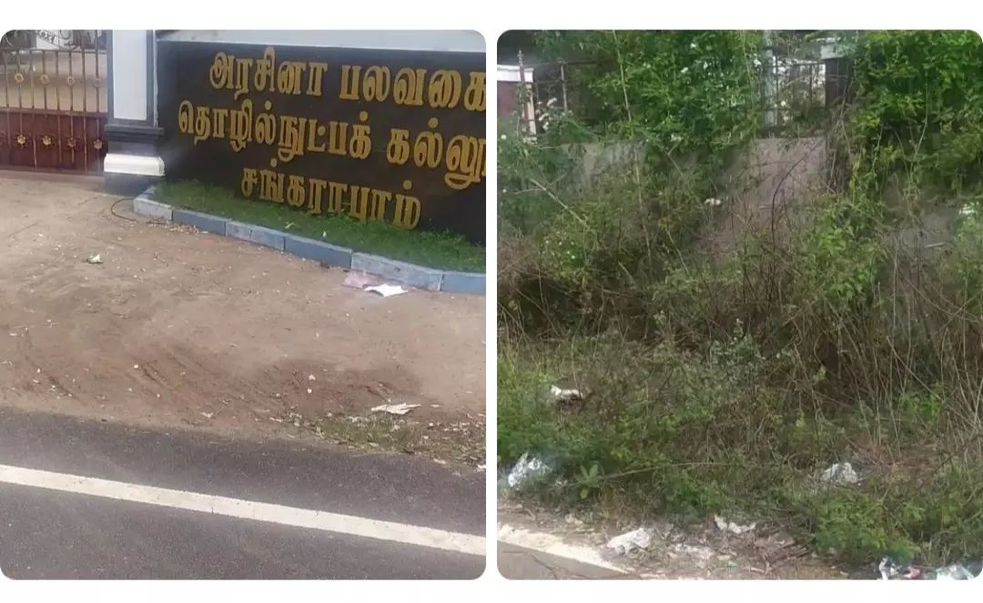 படையெடுக்கும் விஷ சந்துக்கள்