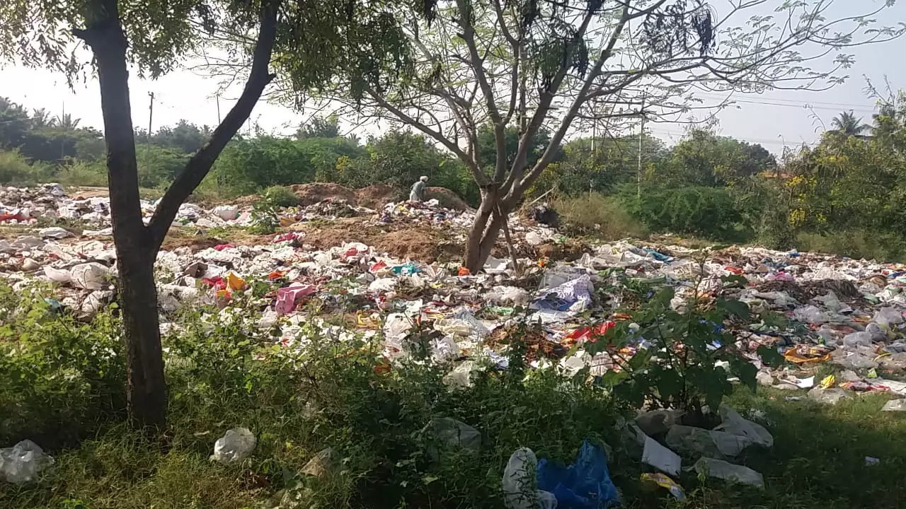 குவிந்து கிடக்கும் குப்பைகள் குவிந்து கிடக்கும் குப்பைகள்