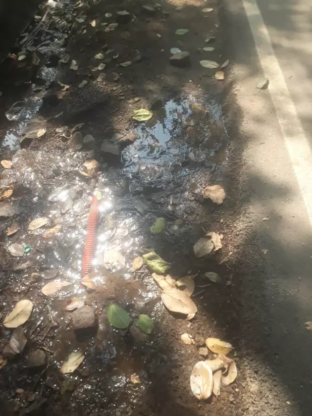 வீணாகும் குடிநீர் வீணாகும் குடிநீர்