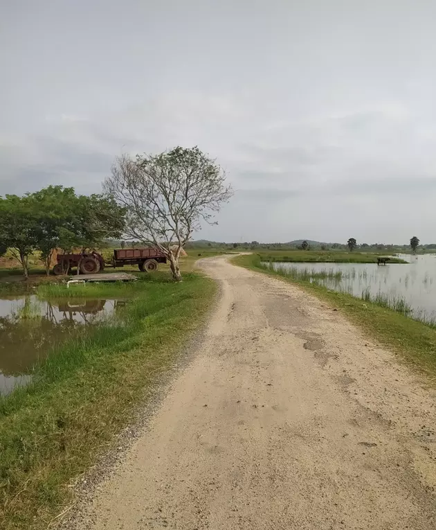 சாலையை சீரமைக்க வேண்டும்