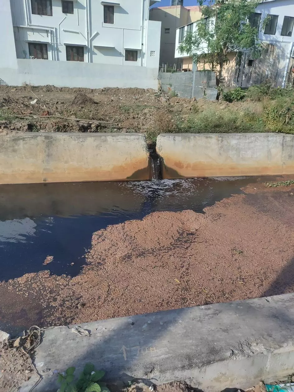 துர்நாற்றம் வீசும் கால்வாய் துர்நாற்றம் வீசும் கால்வாய்