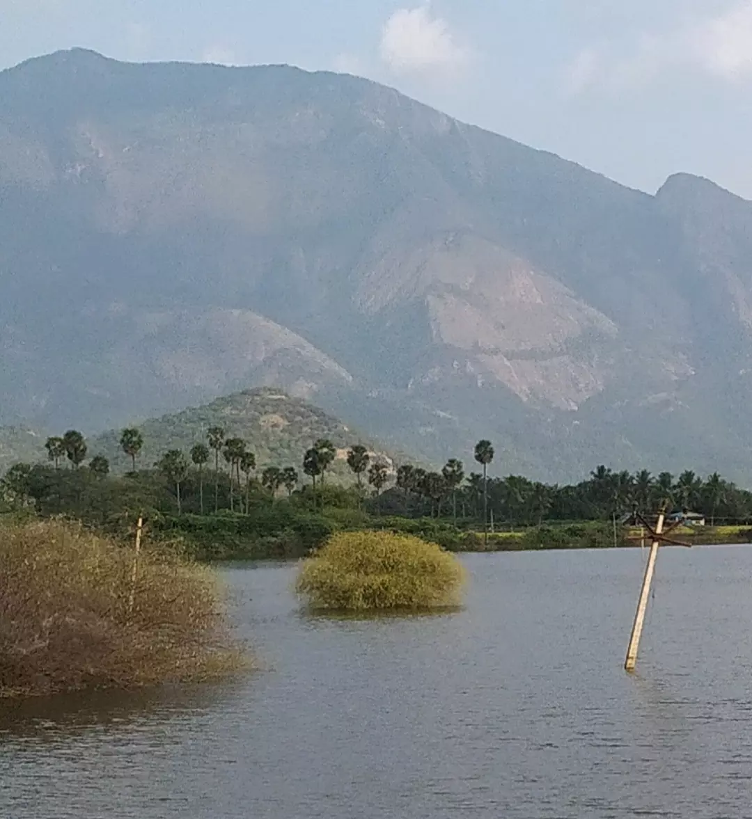 ஆபத்தான மின்கம்பம் ஆபத்தான மின்கம்பம்