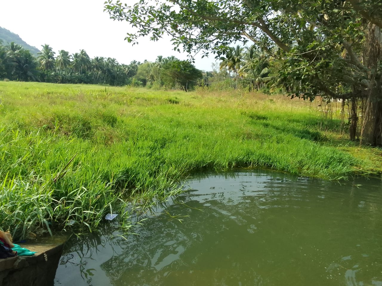 தூர்வாரப்படுமா?