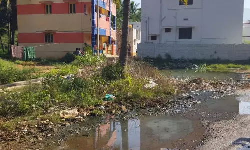 சுகாதாரக்கேடு அபாயம் சுகாதாரக்கேடு அபாயம்