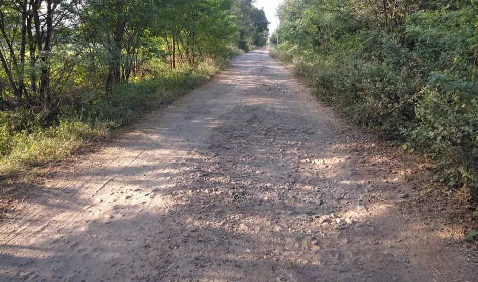 சாலை சீரமைக்கப்படுமா?