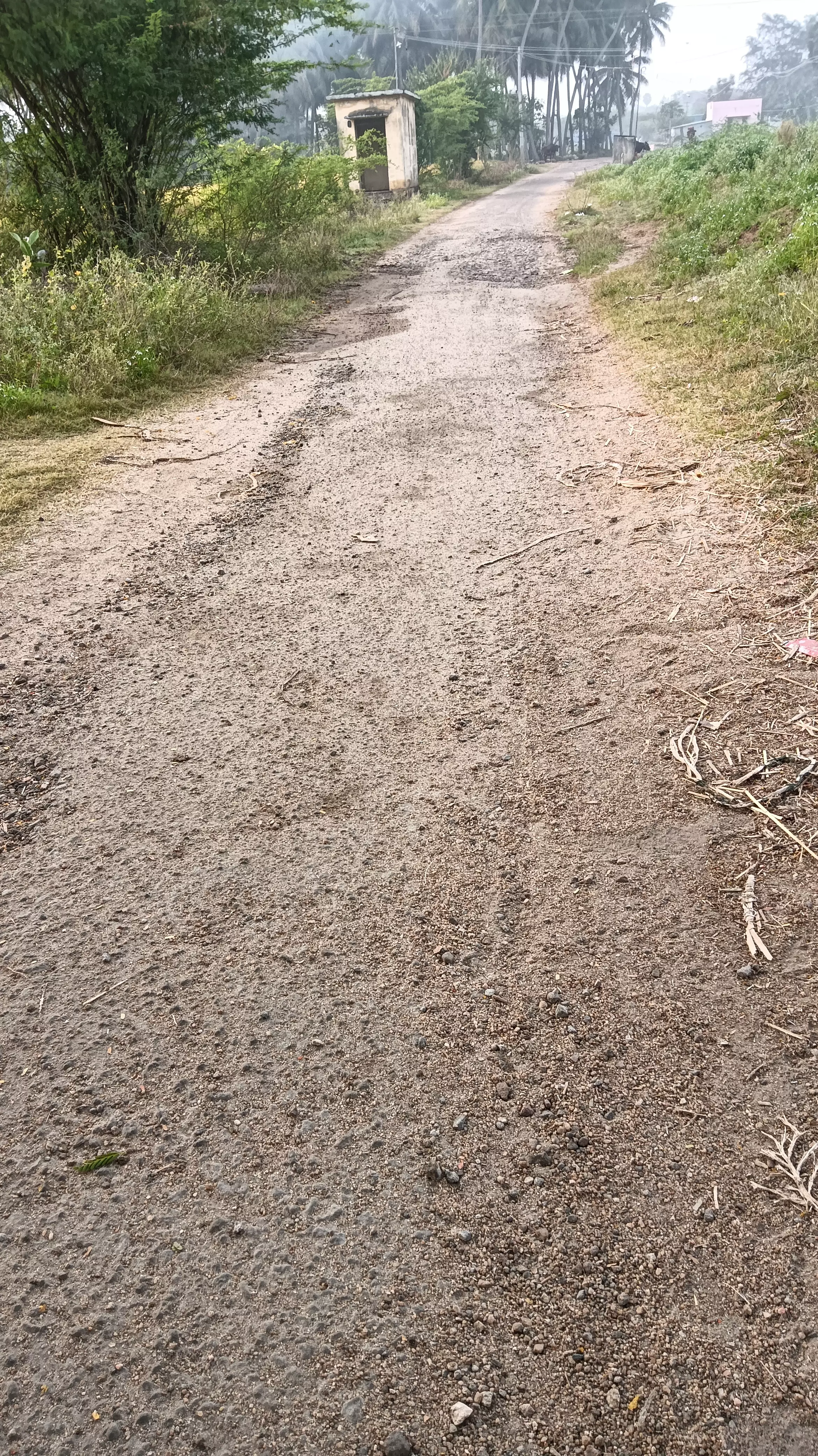 குண்டும், குழியுமாக சாலைகள்