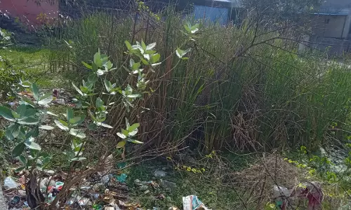 சுகாதார சீர்கேடு சுகாதார சீர்கேடு