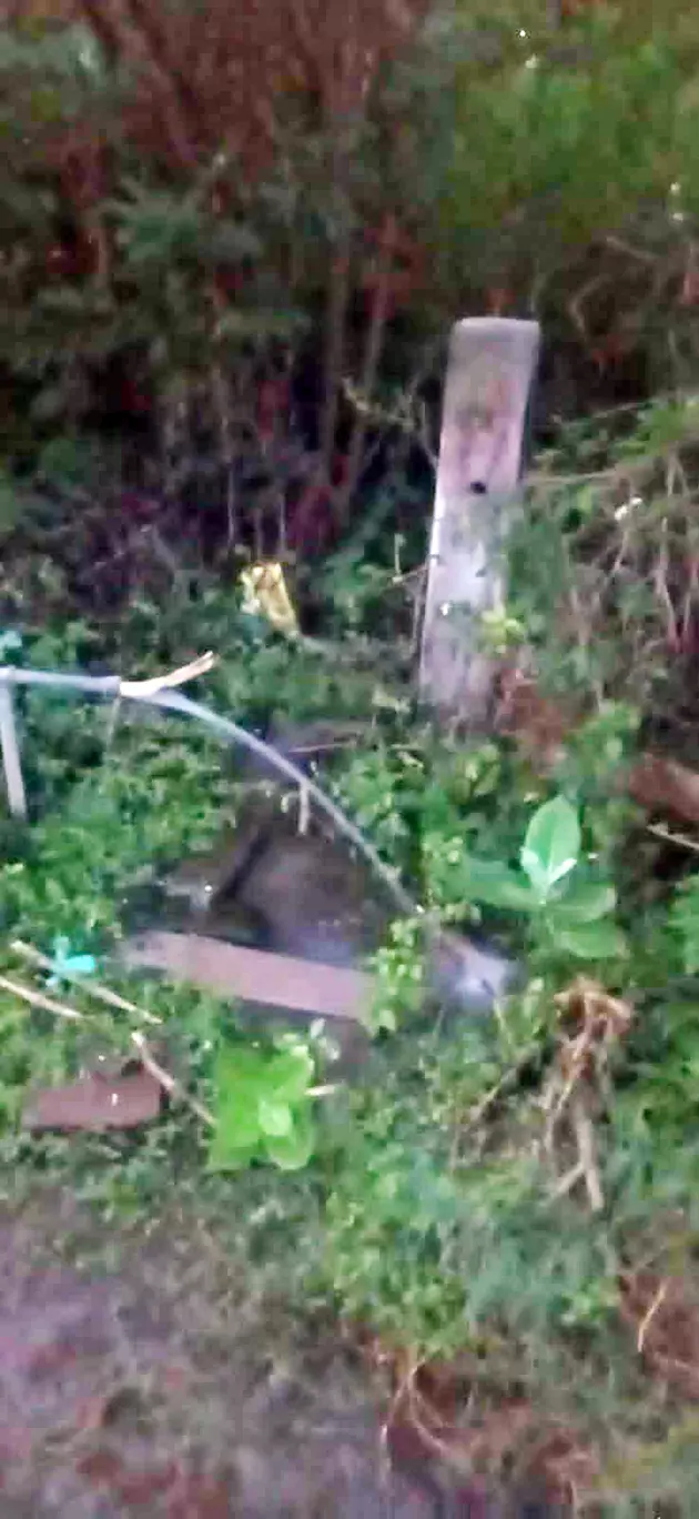 வீணாக வெளியேறும் குடிநீர்