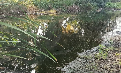 ரோட்டில் ஓடும் கழிவுநீர்