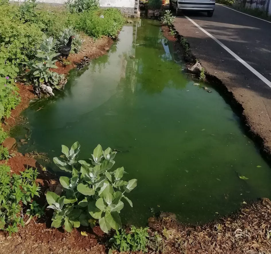 கழிவுநீர் அகற்றப்படுமா? கழிவுநீர் அகற்றப்படுமா?