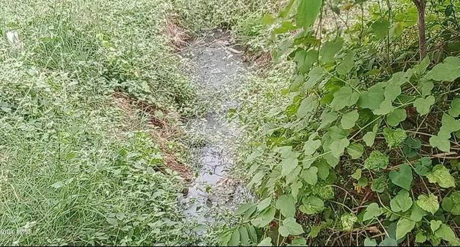 வடிகால் வேண்டும்