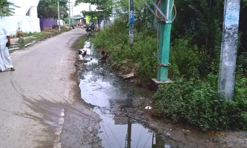 சாலையோரம் தேங்கும் கழிவுநீர்