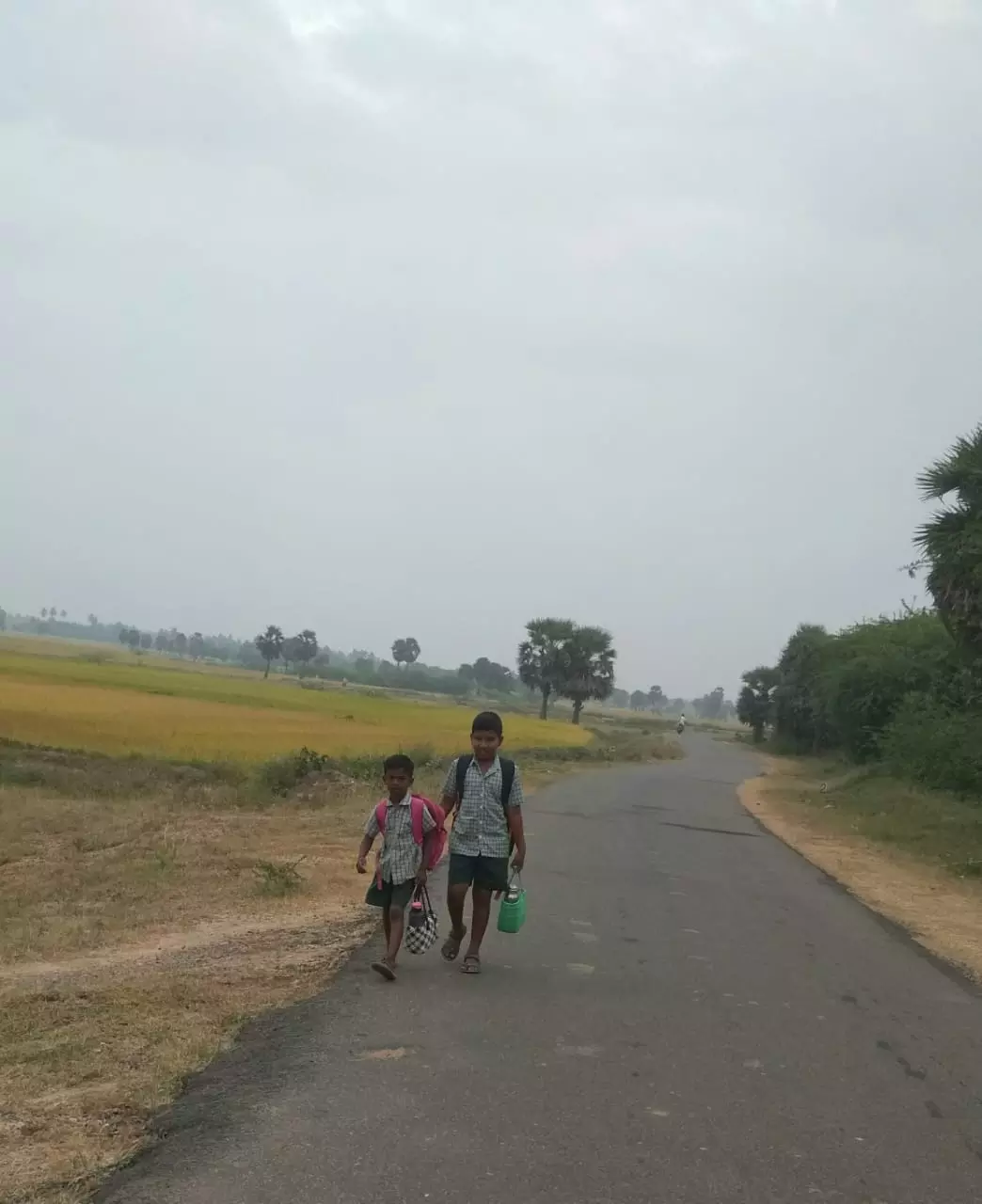 பள்ளி மாணவர்கள் அவதி