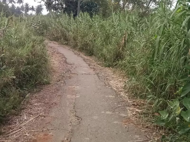 சீரமைக்கப்படாத சாலை சீரமைக்கப்படாத சாலை