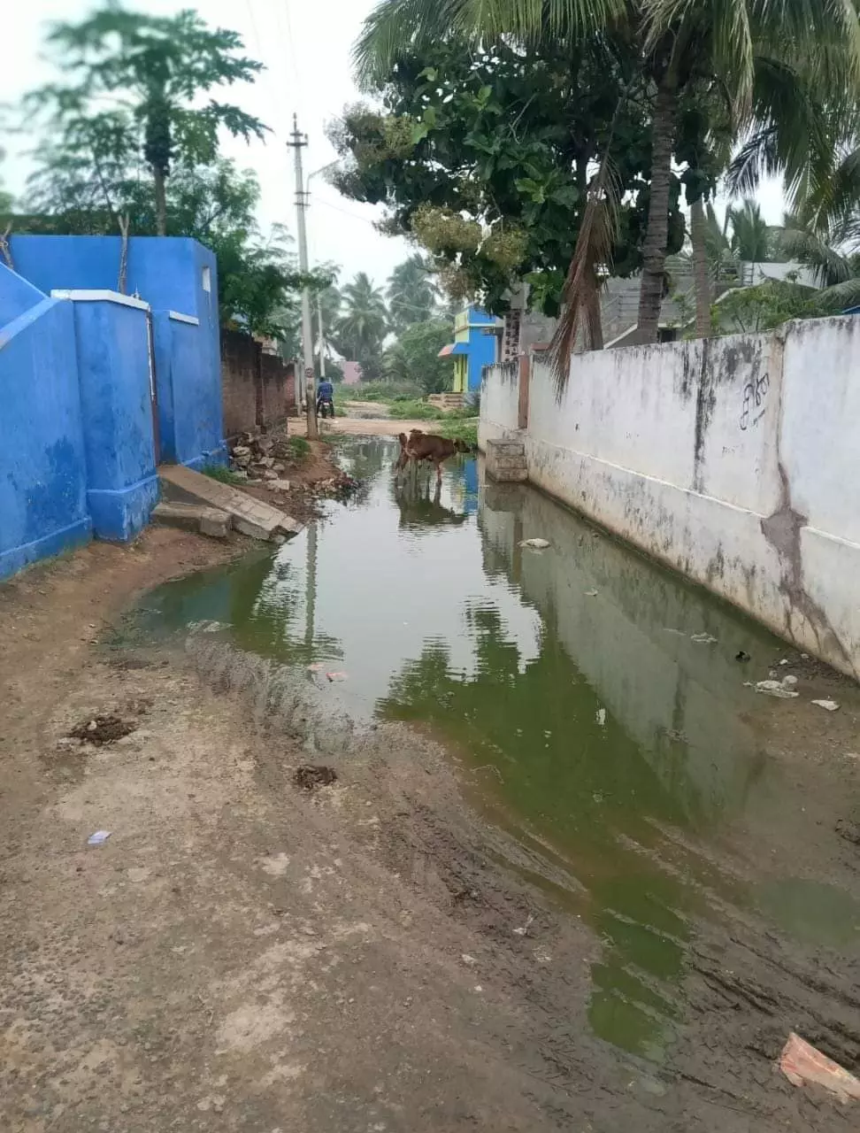தெருவில் தேங்கும் கழிவுநீர் தெருவில் தேங்கும் கழிவுநீர்