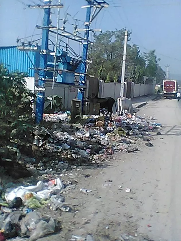 குப்பை தொட்டி வைக்கப்படுமா?