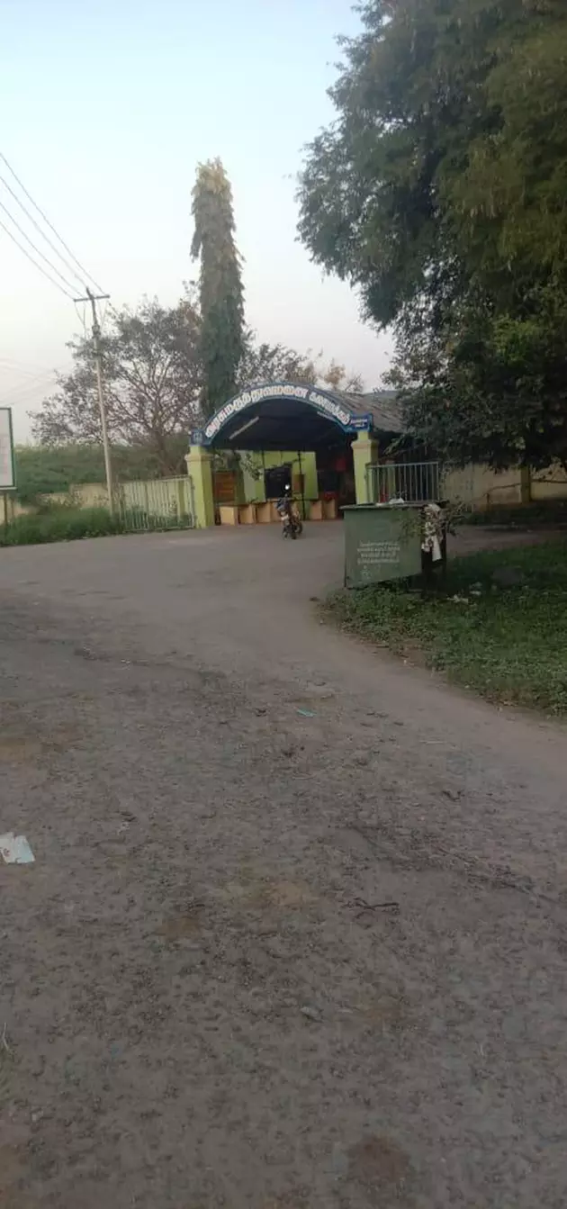 தார் சாலை அமைப்பார்களா? தார் சாலை அமைப்பார்களா?
