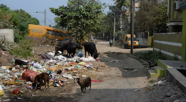 சுகாதார சீர்கேடு சுகாதார சீர்கேடு