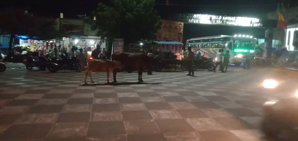 போக்குவரத்திற்கு இடையூறு